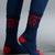 blue aster/red